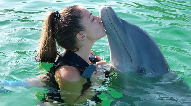 Therapie mit Echolokationslauten von Delfinen